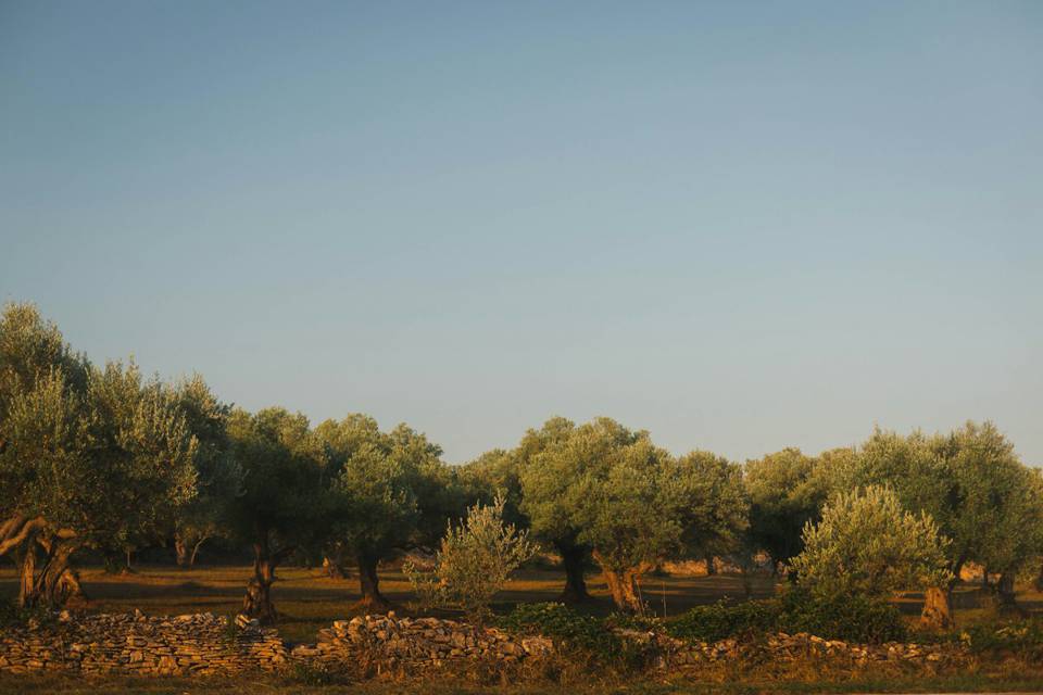 Site (illustrative photo)